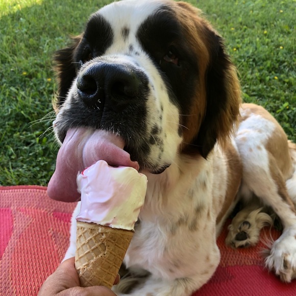 Meet your Posher, Manon - Picture 1 of 1